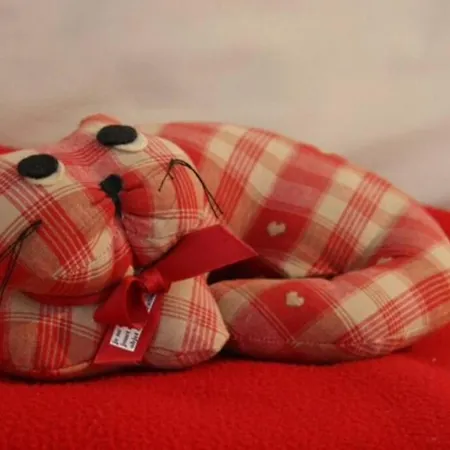 Maison Individuelle Avec Terrasse Proche De Bale * Schlierbach